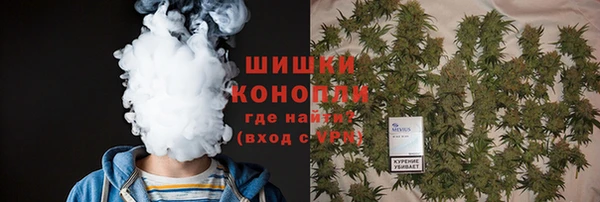 крисы Ельня