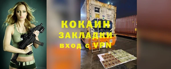 крисы Ельня