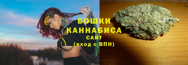 крисы Ельня
