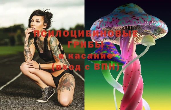 крисы Ельня