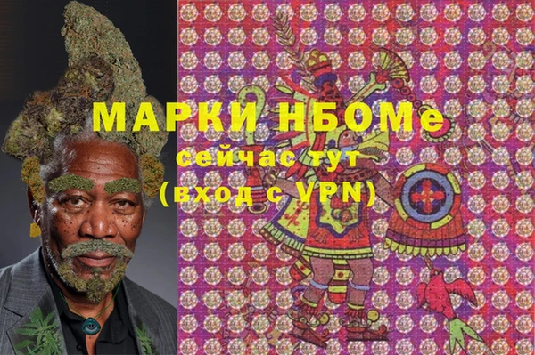 крисы Ельня