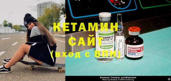 крисы Ельня
