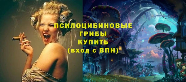крисы Ельня