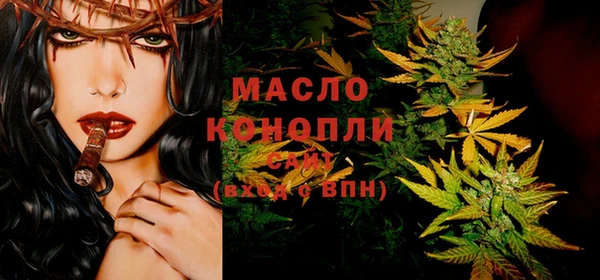 крисы Ельня