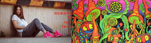 крисы Ельня