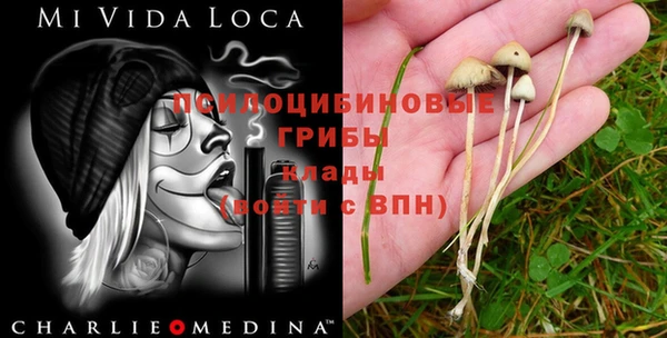 героин Елабуга