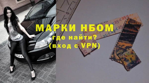 крисы Ельня