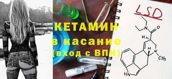 крисы Ельня