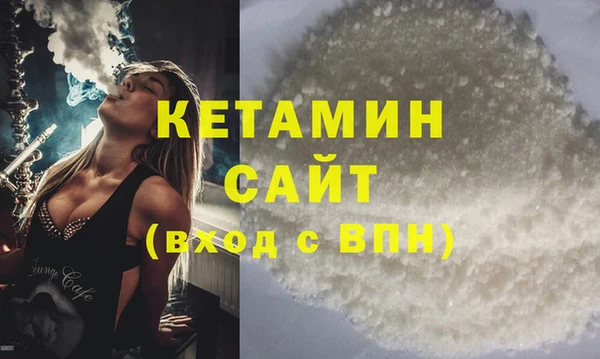 крисы Ельня