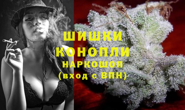 крисы Ельня