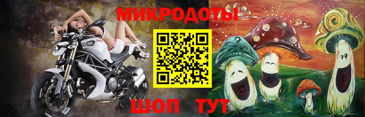 Сочи  Псилоцибиновые грибы прущие грибы  Вход с VPN 