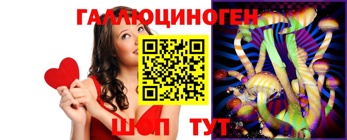 Галлюциногенные грибы Psilocybine cubensis Сочи